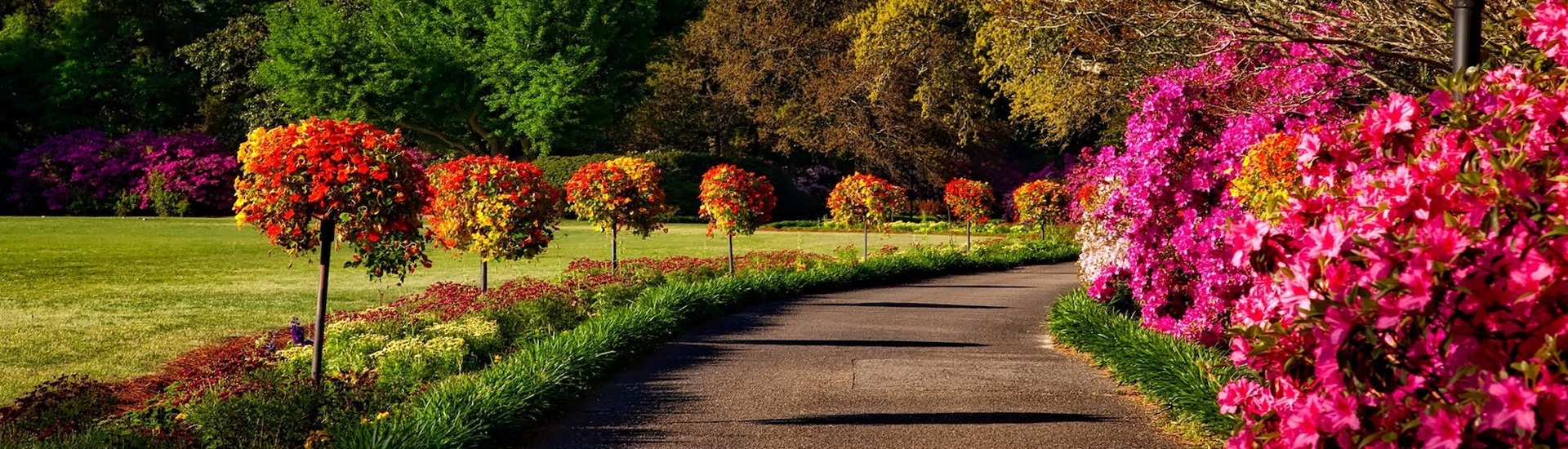 Çevre Düzenleme Peyzaj